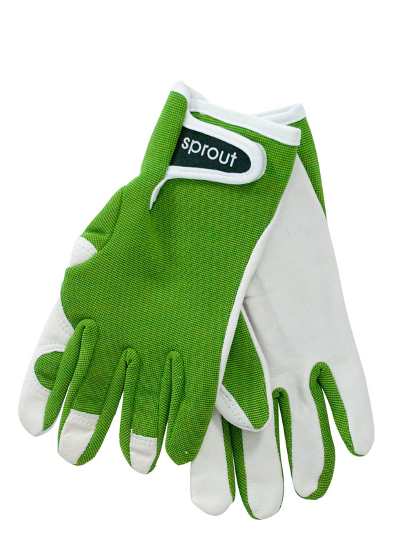 Sprout Glove - Olive